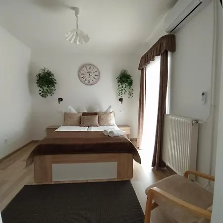 度假居 Anitapartman